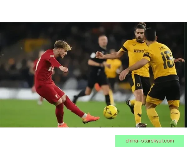 狼队足总杯泥泞赛场如诺曼底登陆